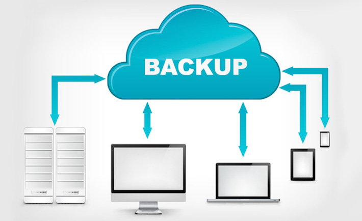 Website hosting South Africa with daily backups and enhanced security